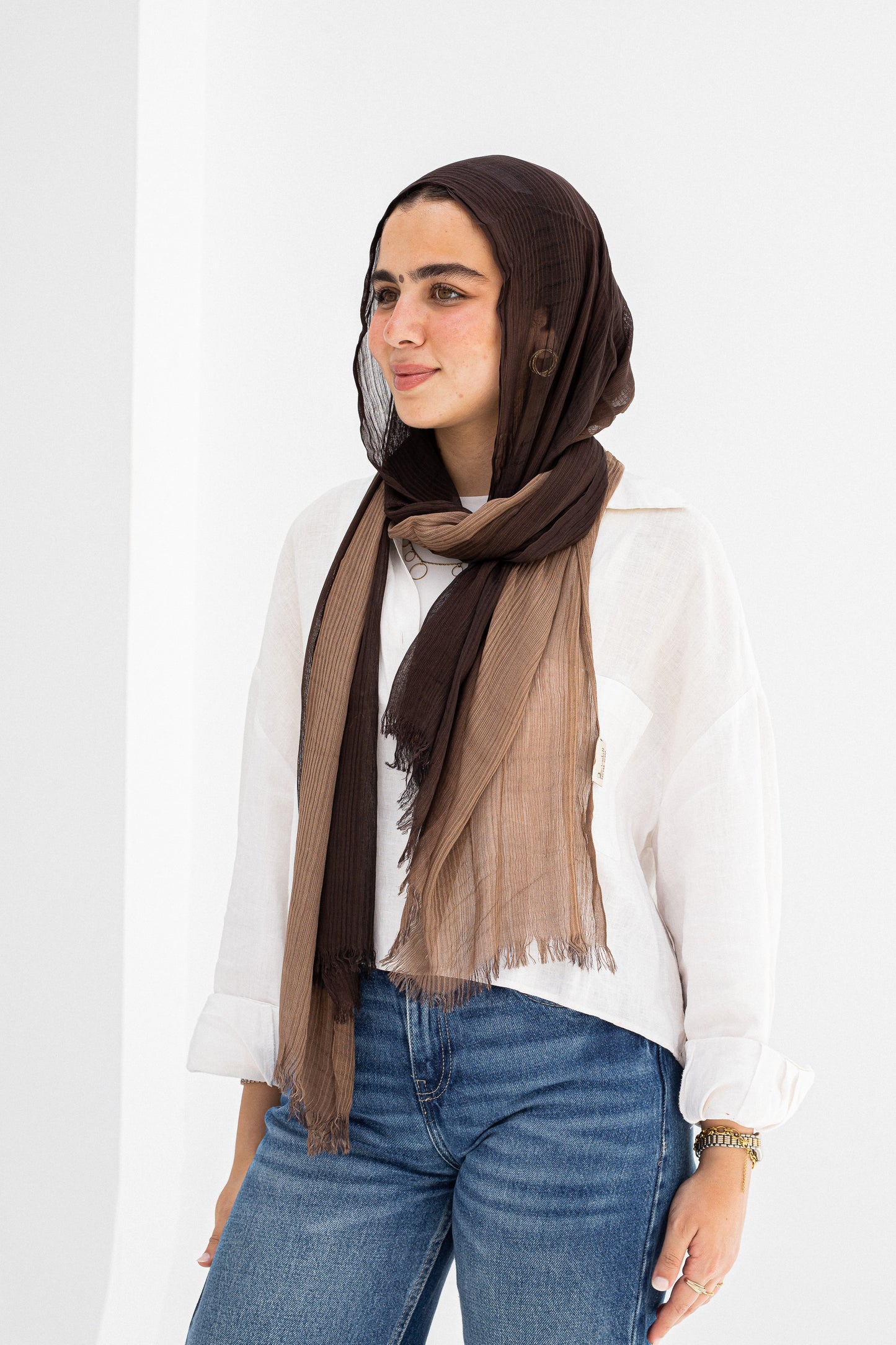 Brown/cafe ombre feather loom
